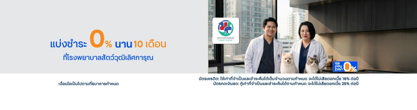 ดูแลสัตว์เลี้ยงที่คุณรัก ที่ โรงพยาบาลสัตว์วุฒิเลิศการุณ