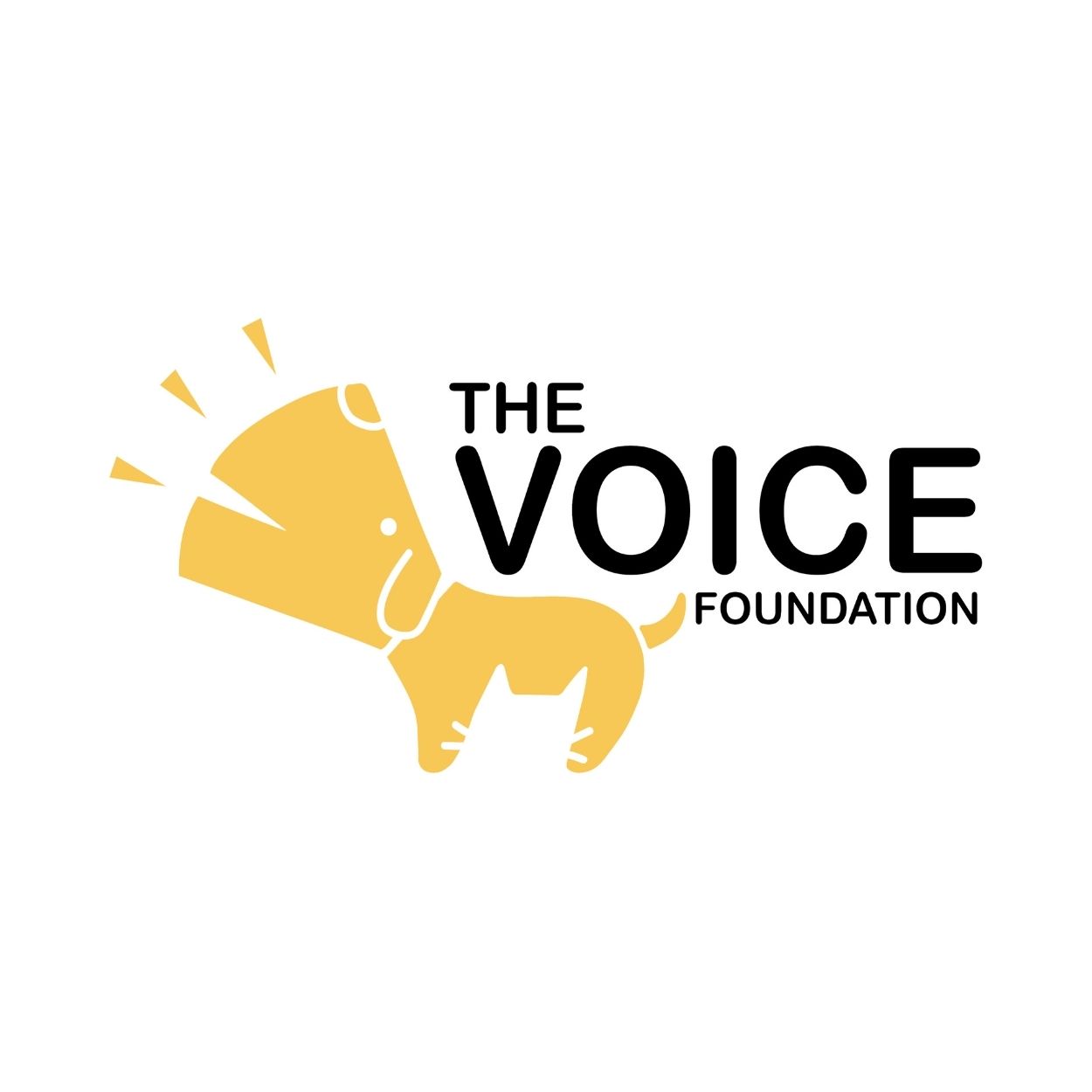 The Voice Foundation