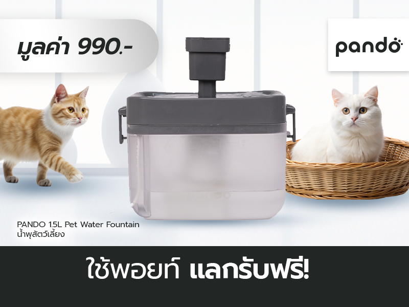 pando: รับฟรี pando 1.5L pet water fountain มูลค่า 990 บาท